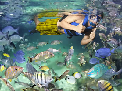 Cozumel, Mexican Caribbean